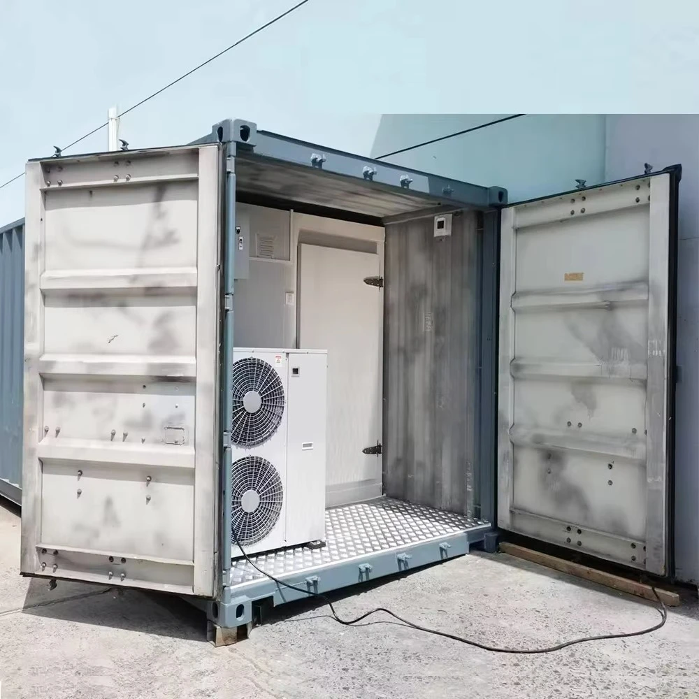 FOODLINE Large Capacity Solar Cold Box Container Auto Charging System For Agricultural Product Cross-country Shipping - Image 3